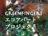 greenfinger エコアパート プロジェクト